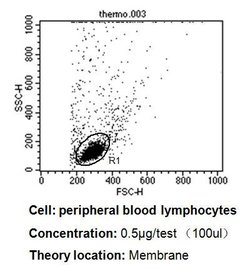 Invitrogen CD58 Monoclonal Antibody (TS2/9) 200 &mu;g; Unconjugated:Anticuerpos