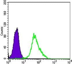 Invitrogen MEK2 Monoclonal Antibody (7F5) 100 &mu;L; Unconjugated:Antibodies,