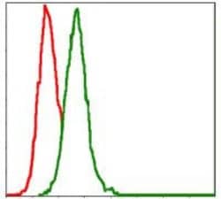 Invitrogen MEK7 Monoclonal Antibody (4E5) 100 &mu;L; Unconjugated:Antibodies,