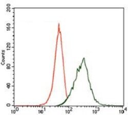 Invitrogen MAP2 Monoclonal Antibody (5B7) 100 &mu;g; Unconjugated:Antibodies,