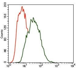 Invitrogen MARK3 Monoclonal Antibody (2G12) 100 &mu;g; Unconjugated:Antibodies,