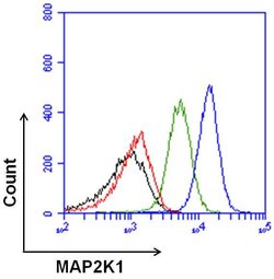 Invitrogen MEK1 Recombinant Superclonal Antibody (22HCLC) 100 &mu;g; Unconjugated:Antibodies,