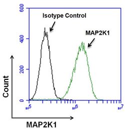 Invitrogen MEK1 Monoclonal Antibody (1C1) 100 &mu;g; Unconjugated:Antibodies,