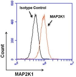Invitrogen MEK1 Monoclonal Antibody (1C1) 100 &mu;g; Unconjugated:Antibodies,
