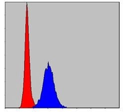 Invitrogen MMP9 Monoclonal Antibody (5G3) 100 &mu;L; Unconjugated:Antibodies,