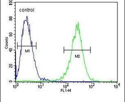 MPP1 Rabbit anti-Human, Polyclonal, Invitrogen 400 &mu;L; Unconjugated:Antibodies,