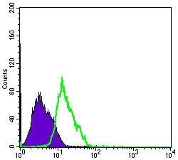 Invitrogen MSI1 Monoclonal Antibody (2A12) 100 &mu;L; Unconjugated:Antibodies,