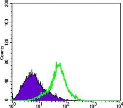 Invitrogen Metadherin Monoclonal Antibody (2F11C3) 100 &mu;L; Unconjugated:Antibodies,