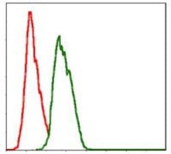 Invitrogen NEDD8 Monoclonal Antibody (1A7) 100 &mu;g | Buy Online | Invitrogen&trade; | Fisher Scientific