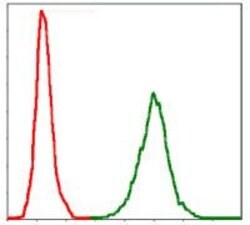 Invitrogen NEFL Monoclonal Antibody (1H3) 100 &mu;g; Unconjugated:Antibodies,