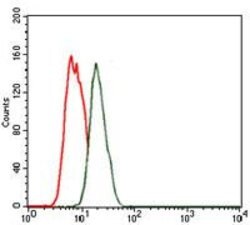 Invitrogen Nkx2.2 Monoclonal Antibody (3E4) 100 &mu;g; Unconjugated:Antibodies,