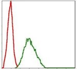 Thumbnail_NQO1 Monoclonal Antibody (4D12), Invitrogen 100 &mu;L; Unconjugated:Antibodies,
