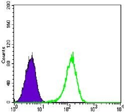Glucocorticoid Receptor Monoclonal Antibody (6E6), Invitrogen 100 &mu;L;