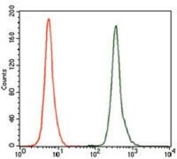 Invitrogen GCNF Monoclonal Antibody (4G8) 100 &mu;g; Unconjugated:Antibodies,