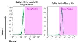 Invitrogen Nanog Monoclonal Antibody (23D2-3C6), DyLight 488 100 &mu;L;