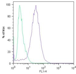 Invitrogen Nanog Monoclonal Antibody (23D2-3C6) 100 &mu;g; Unconjugated:Antibodies,
