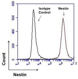 Invitrogen Nestin Monoclonal Antibody (10C2) 100 &mu;g; Unconjugated:Antibodies,