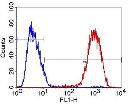 Invitrogen OCT4 Monoclonal Antibody (9B7) 100 &mu;g; Unconjugated:Antibodies,