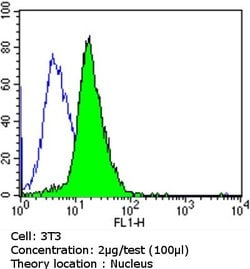 Invitrogen GATA4 Polyclonal Antibody:Antibodies:Primary Antibodies