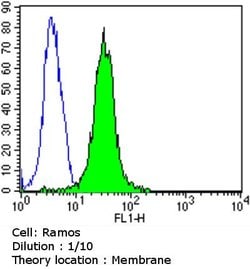 Rabbit anti-Human IgE (Heavy chain) Secondary Antibody, Invitrogen 500