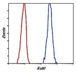 Invitrogen Ku80 Polyclonal Antibody 100 &mu;L; Unconjugated:Antibodies,