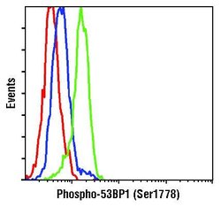 Invitrogen Phospho-53BP1 (Ser1778) Polyclonal Antibody 100 &mu;L | Buy Online | Invitrogen&trade; | Fisher Scientific