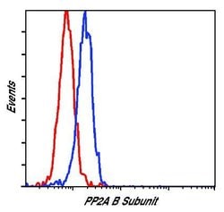 Invitrogen PPP2R2A Polyclonal Antibody 100 &mu;L; Unconjugated:Antibodies,