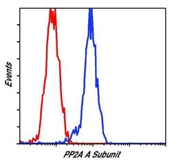 Invitrogen PPP2R1A Polyclonal Antibody 100 &mu;L; Unconjugated:Antibodies,