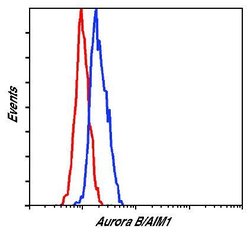 Invitrogen Aurora B Polyclonal Antibody 100 &mu;L; Unconjugated:Antibodies,