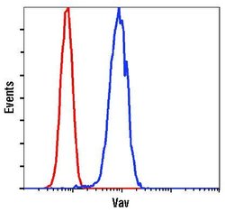 Invitrogen VAV1 Polyclonal Antibody 100 &mu;L; Unconjugated:Antibodies,