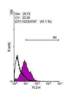 KLF4 Polyclonal Antibody, Invitrogen 100 &mu;L; Unconjugated:Antibodies,