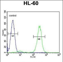 FBXW11 Rabbit anti-Human, Polyclonal, Invitrogen 400 &mu;L | Buy Online | Thermo Scientific | Fisher Scientific