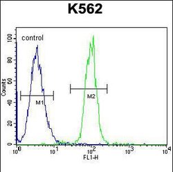 TCF21 Rabbit anti-Human, Polyclonal, Invitrogen 400 &mu;L; Unconjugated:Antibodies,