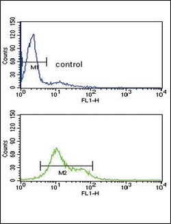 MDH1 Rabbit anti-Human, Polyclonal, Invitrogen 400 &mu;L | Buy Online | Thermo Scientific | Fisher Scientific