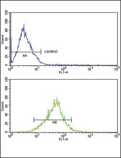 Apolipoprotein L1 Rabbit anti-Human, Polyclonal, Invitrogen 400 &mu;L;
