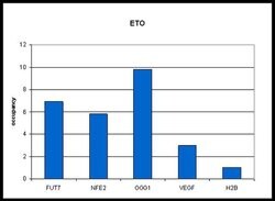 Invitrogen RUNX1T1 Polyclonal Antibody 100 &mu;L; Unconjugated:Antibodies,