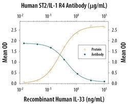 Invitrogen ST2 Polyclonal Antibody 100 &mu;g; Unconjugated:Antibodies,