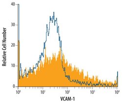 Invitrogen VCAM-1 Polyclonal Antibody 100 &mu;g; Unconjugated:Antibodies,