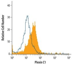 PLXNC1 Goat anti-Human, Polyclonal, Invitrogen 100 &mu;g; Unconjugated:Antibodies,