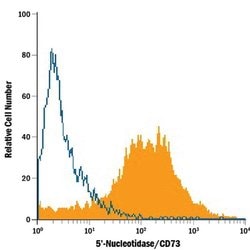 Invitrogen CD73 Polyclonal Antibody 100 &mu;g; Unconjugated:Antibodies,