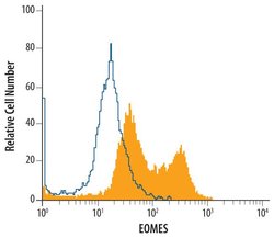 Invitrogen EOMES Polyclonal Antibody 100 &mu;g; Unconjugated:Antibodies,