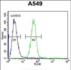 COP1 Rabbit anti-Human, Polyclonal, Invitrogen 400 &mu;L; Unconjugated:Antibodies,
