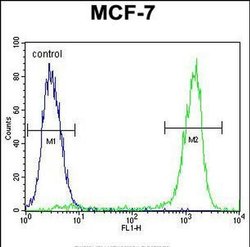 ZNF829 Rabbit anti-Human, Polyclonal, Invitrogen 400 &mu;L | Buy Online | Thermo Scientific | Fisher Scientific