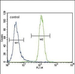 UGT2B15 Rabbit anti-Human, Polyclonal, Invitrogen 400 &mu;L; Unconjugated:Antibodies,