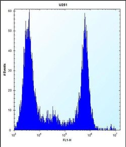 VPS37B Rabbit anti-Human, Polyclonal, Invitrogen 400 &mu;L; Unconjugated:Antibodies,