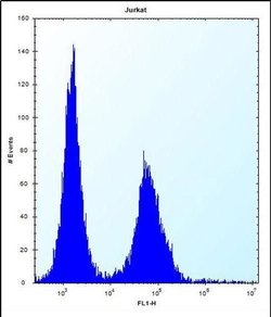 DNAJC9 Rabbit anti-Human, Polyclonal, Invitrogen 400 &mu;L; Unconjugated:Antibodies,