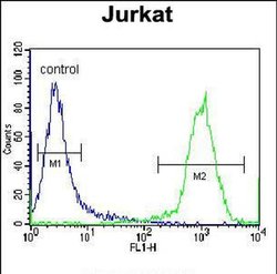 HJURP Rabbit anti-Human, Polyclonal, Invitrogen 400 &mu;L; Unconjugated:Antibodies,