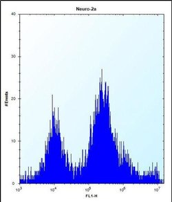 UBE2E2 Polyclonal Antibody, Invitrogen 400 &mu;L; Unconjugated:Antibodies,