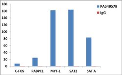 Invitrogen Histone H3 Polyclonal Antibody 100 &mu;L | Buy Online | Invitrogen&trade; | Fisher Scientific