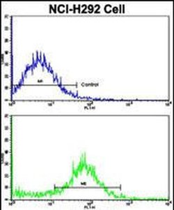 VTI1A Rabbit anti-Human, Polyclonal, Invitrogen 400 &mu;L; Unconjugated:Antibodies,